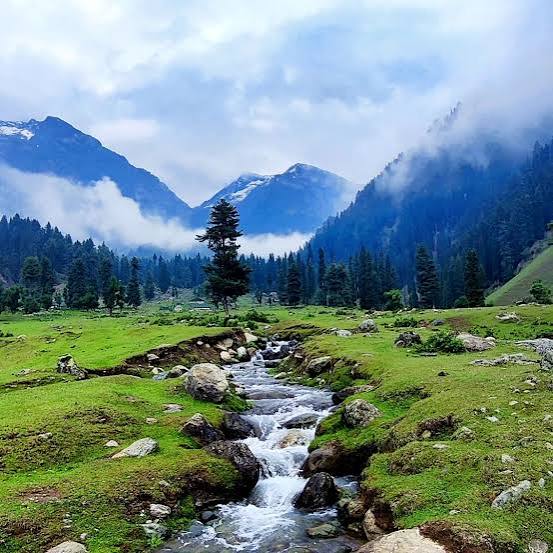 Exploring Pahalgam: Nature's Embrace